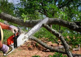 Best Tree Mulching  in Newcomerstown, OH